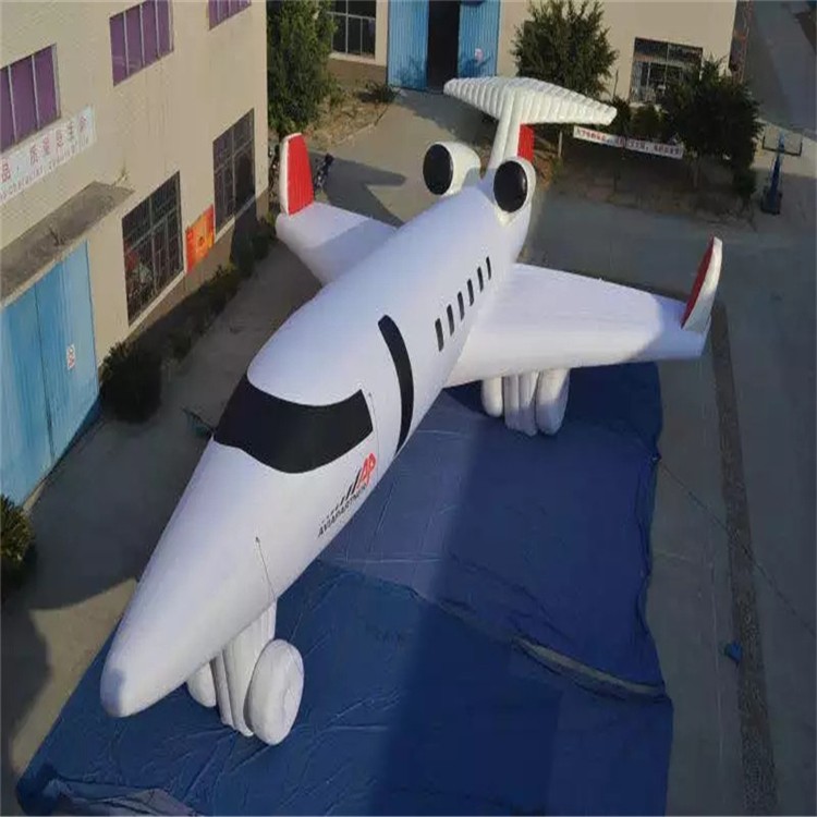 大田镇充气模型飞机